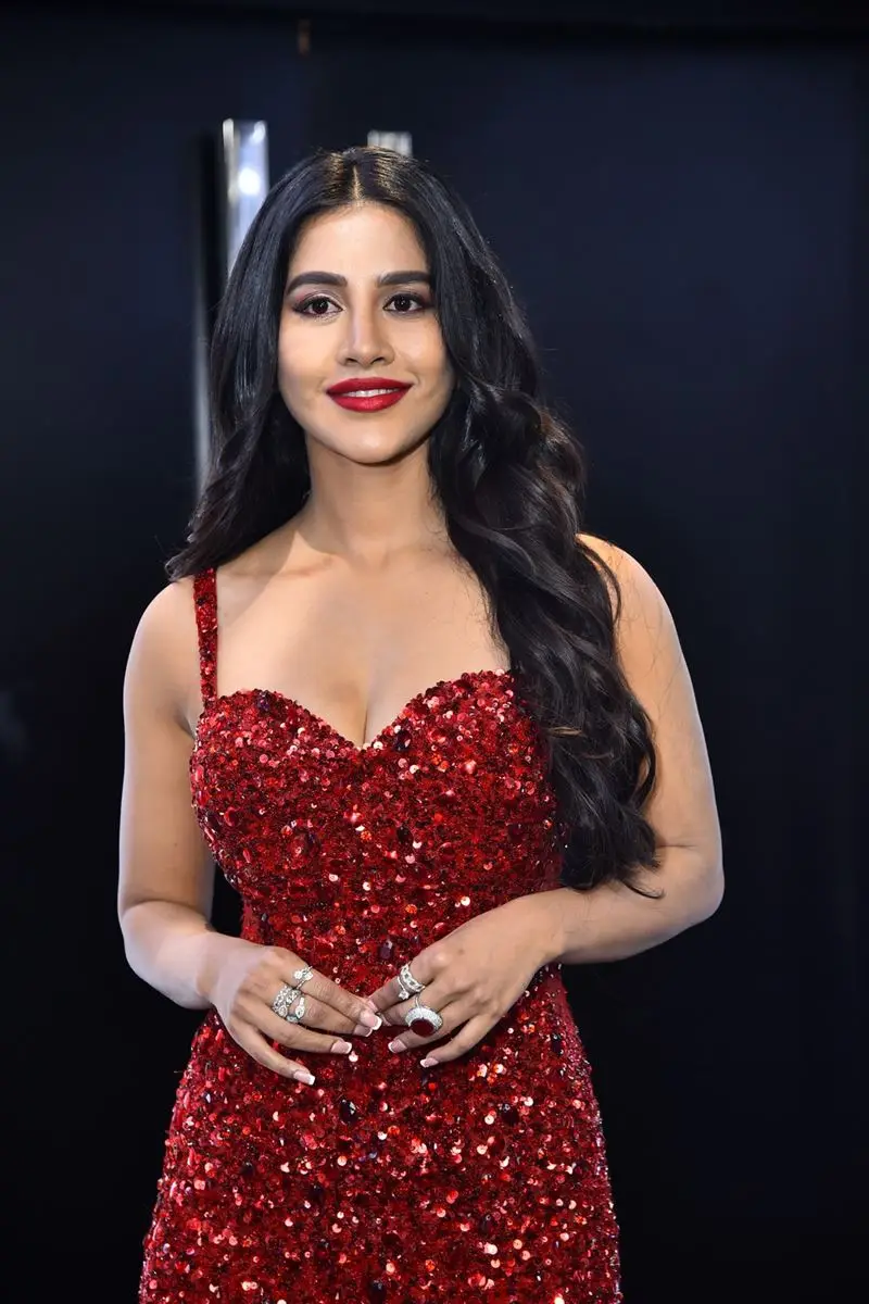 Tamil Girl Nabha Natesh Stills in Sleeveless Maroon Gown